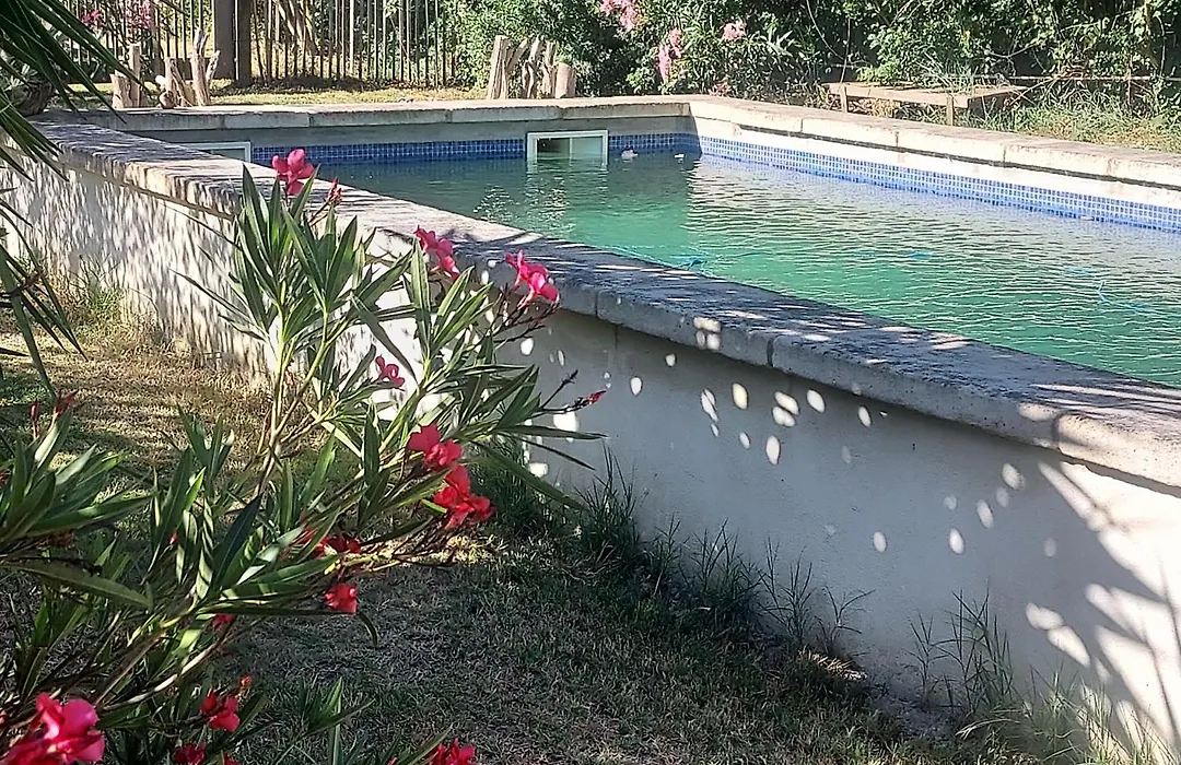 Bergerie d'Alivon en Camargue-1